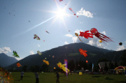 IMG_9007.JPG (96215 Byte)