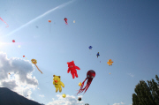 IMG_9050.JPG (77419 Byte)