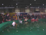 DSCN6331.JPG (79501 Byte)