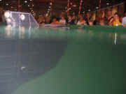 Messe wien 07 038.jpg (74907 Byte)
