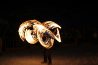 IMG_1423.JPG (82937 Byte)