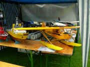 DSCN5574.JPG (127952 Byte)